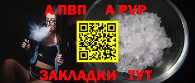 стафф Донской