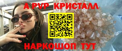 стафф Донской