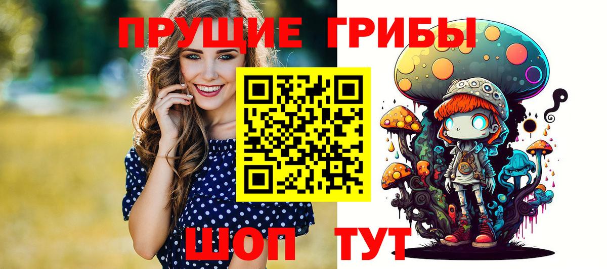 Псилоцибиновые грибы мицелий  Вход с VPN  Галлюциногенные грибы Psilocybine cubensis  где купить наркоту  Назрань 