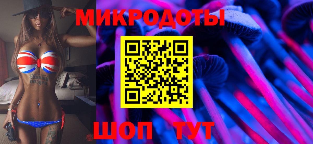 Псилоцибиновые грибы Psilocybine cubensis Назрань